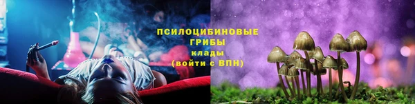 PSILOCYBIN Покров