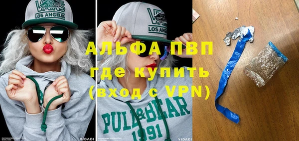 PSILOCYBIN Покров