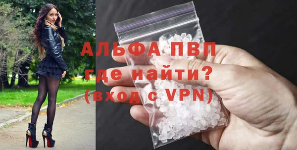 PSILOCYBIN Покров