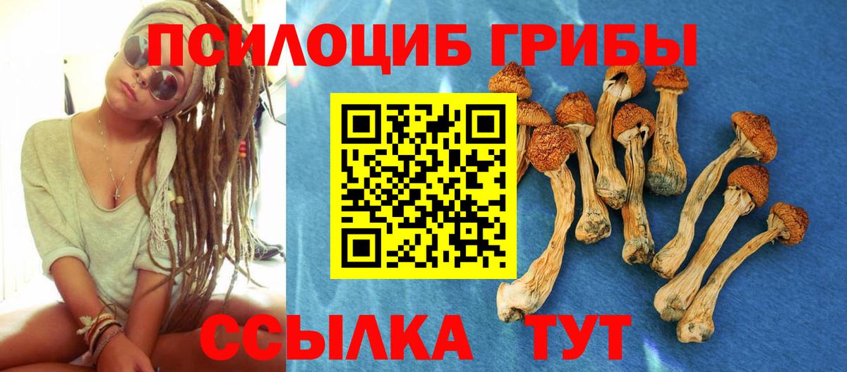 Псилоцибиновые грибы мухоморы Фрязино